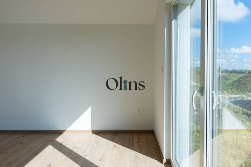 Olins-15.jpg