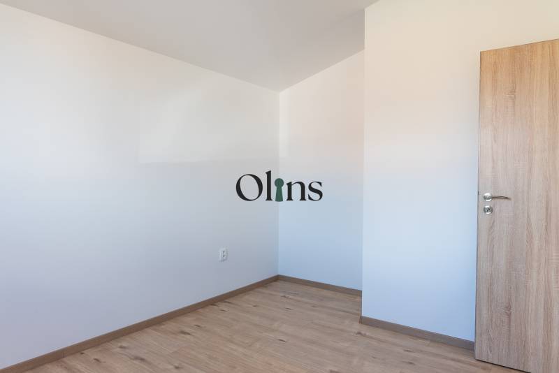 Olins-6.jpg