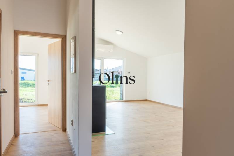 Olins-8.jpg